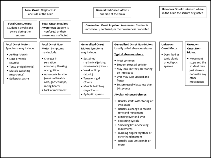 Seizure Classification With Descriptions