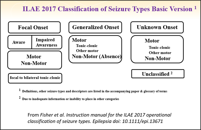 Seizure Classification